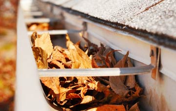 Whitewell gutter cleaning companies