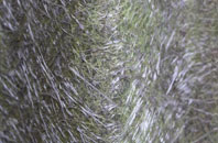 Whitewell fibreglass roof work